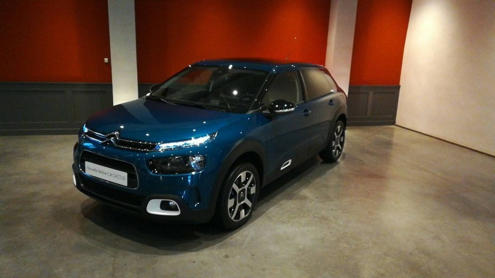 Présentation c4 cactus Château de Sans Souci à Limonest