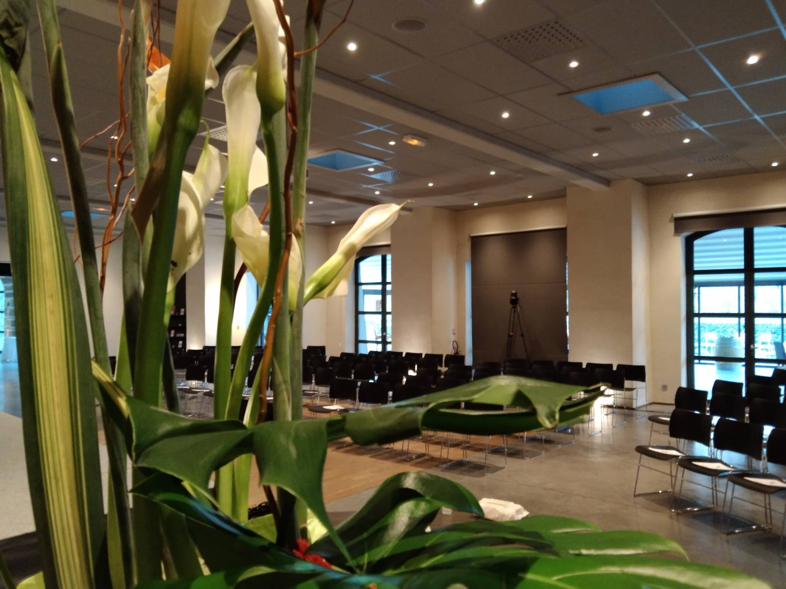 Salle de séminaire jusqu' à 350 personnes proche de Lyon