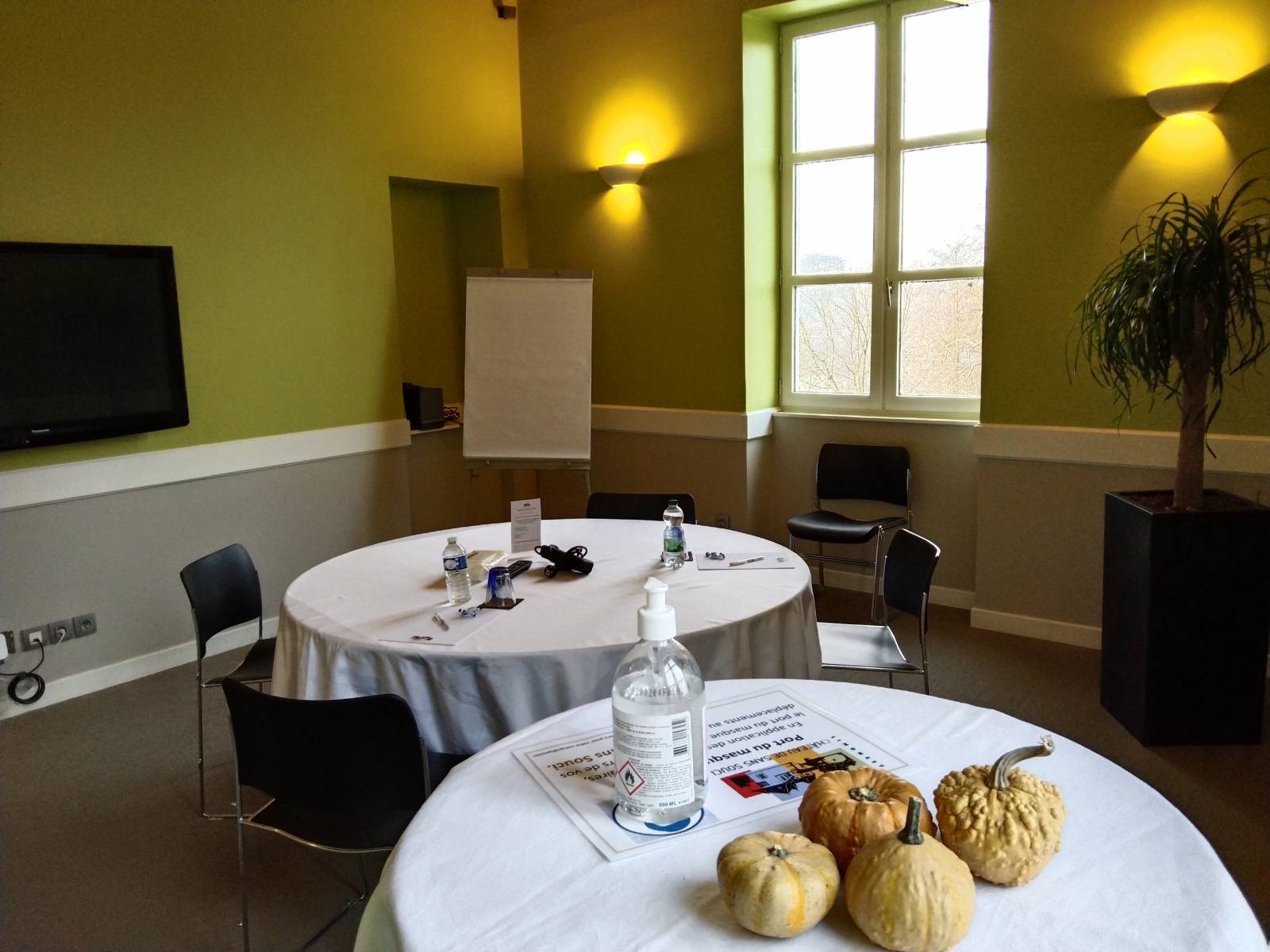 Salon de 22 m² de 2 à 4 participants pour vos réunions ZOOM - départ 69