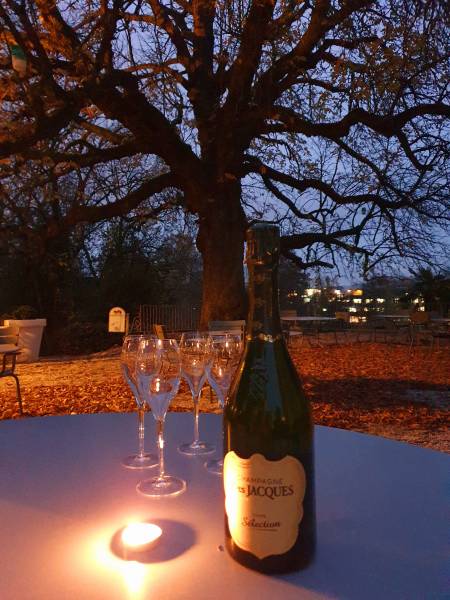 Champagne en Terrasse