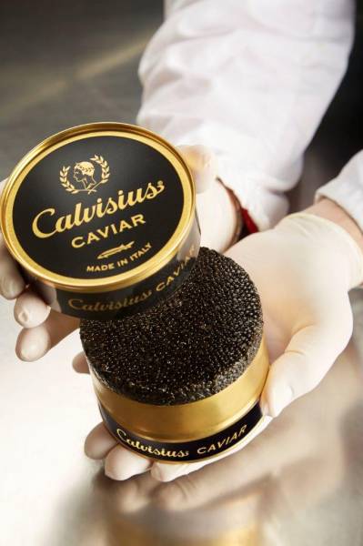Des caviars à prix raisonnable pour les fêtes à Limonest