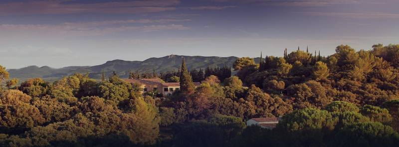 Vignerons en Languedoc à Aniane Mas de Daumas Gassac
