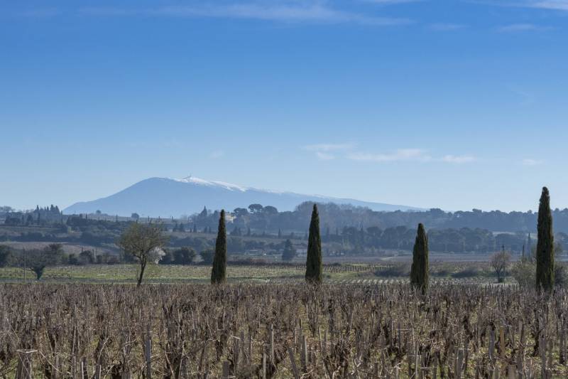 Châteauneuf-du-Pape AOC, Domaine de Saint-Préfert