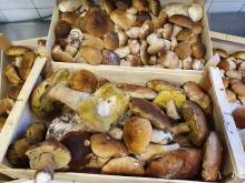 Notre zone d'activité pour ce service Organiser un cocktail d'affaire dans un lieu paradisiaque avec prestation de traiteur