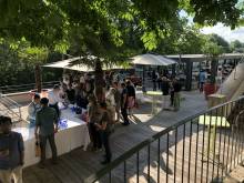cocktail en terrasse